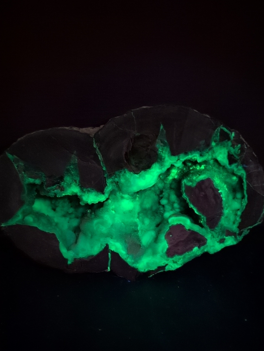 Blue Star Thunderegg Half #3 UV Light Reactive